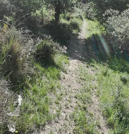 Casa rural La Muralla Retortillo de Soria